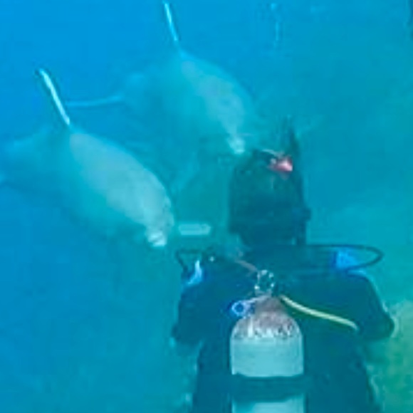 Meet your Posher, Margaret - Picture 1 of 8